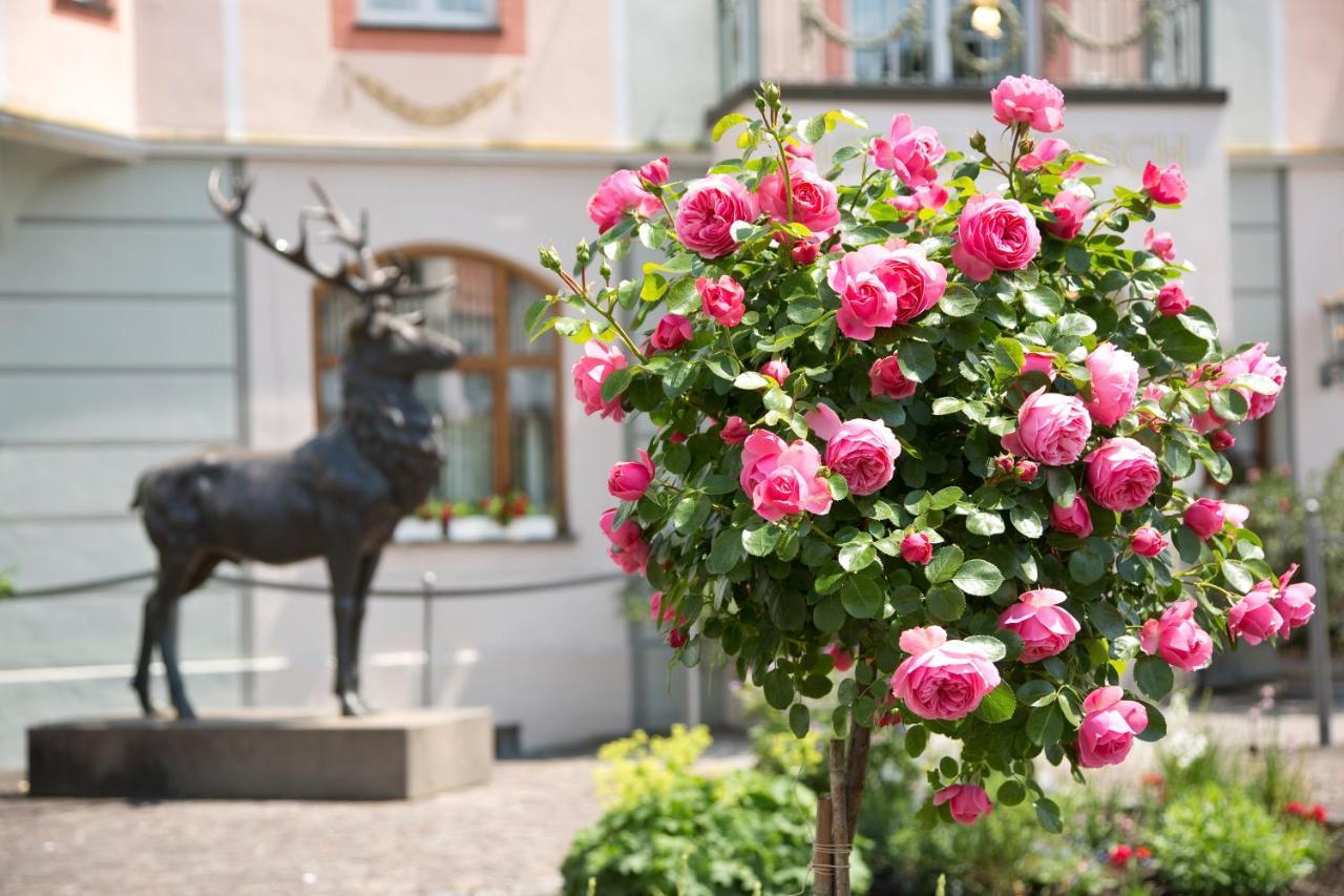 Hirsch Hotel Fussen